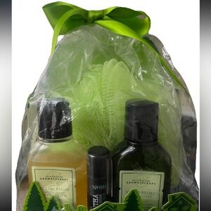 Bath & Body Works Aromatherapy Eucalyptus Spearmint Gift Set Travel Size